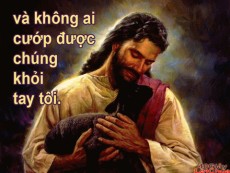 ĐỨC GIÊSU - MỤC TỬ ĐẦY LÒNG THƯƠNG XÓT  -  Jos. Vinc. Ngọc Biển