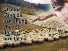 CHÚA CHIÊN LÀNH-  ĐTGM. Ngô Quang Kiệt