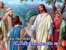 GIỚI LUẬT YÊU THƯƠNG -  Lm Carolo Hồ Bạc Xái