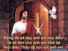 TRONG VÀ NGOÀI TÌNH YÊU -  ĐTGM. Ngô Quang Kiệt