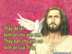 CHÚA THÁNH THẦN  TIẾP NỐI CON ĐƯỜNG THƯƠNG XÓT -  Jos. Vinc. Ngọc Biển