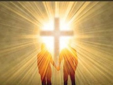 TÌNH YÊU, HẠT GIỐNG CỦA BÌNH AN - Trích Logos năm C