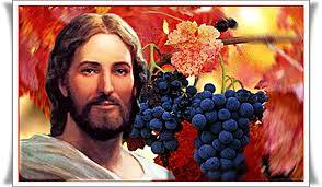 27.4.2016 – Thứ tư Tuần 5 Phục sinh