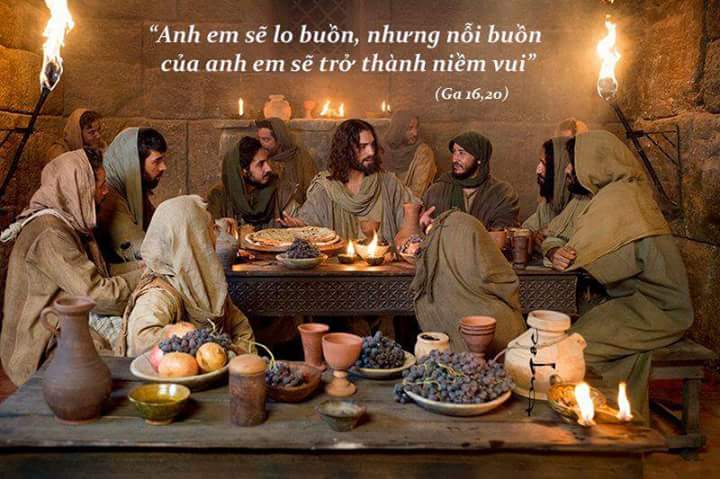 13151484_534053460111475_3652304000020927693_n