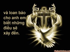 THẦN KHÍ SỰ THẬT  (Gioan 16,12-15) - Lm FX Vũ Phan Long, ofm