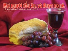 NĂM CHIẾC BÁNH VÀ HAI CON CÁ - Trích Logos năm C