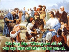 ĐỨC GIÊSU HÓA BÁNH RA NHIỀU - Lm FX Vũ Phan Long, ofm