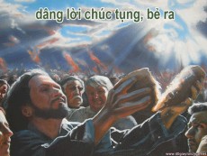 BẢN VĂN CÁC BÀI ĐỌC