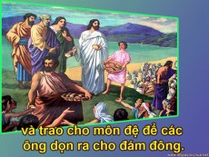 LƯƠNG THỰC CHO LOÀI NGƯỜI -  Lm Carolo Hồ Bặc Xái
