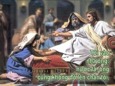 TỘI LỖI VÀ ƠN THA THỨ - Lm Giuse Đinh lập Liễm