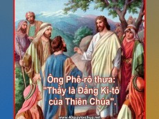 CÁC BÀI SUY NIỆM LỜI CHÚA CHÚA NHẬT XII THƯỜNG NIÊN NĂM C