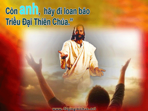 CÁC BÀI SUY NIỆM LỜI CHÚA  CHÚA NHẬT XIII THƯỜNG NIÊN NĂM C