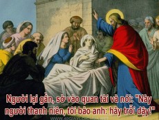 CẢM THÔNG ĐỂ XÓT THƯƠNG - Jos.Vinc. Ngọc Biển