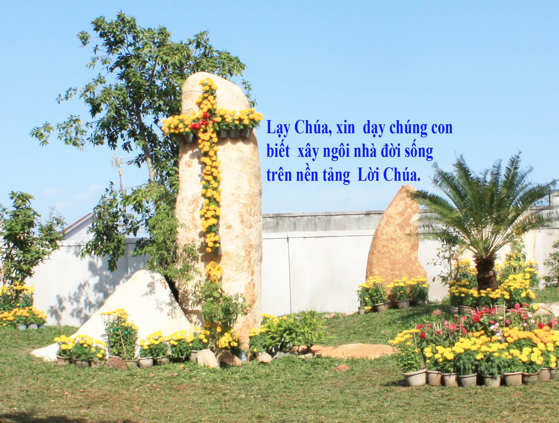 23.6.2016 – Thứ năm Tuần 12 Thường niên