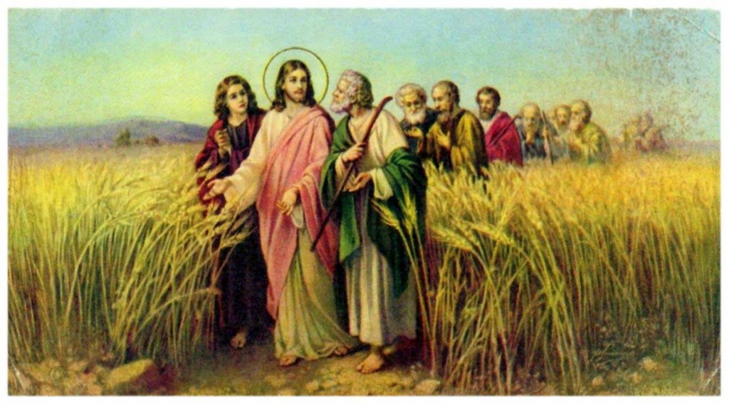 10523756_414242092050047_2679288607342530629_o