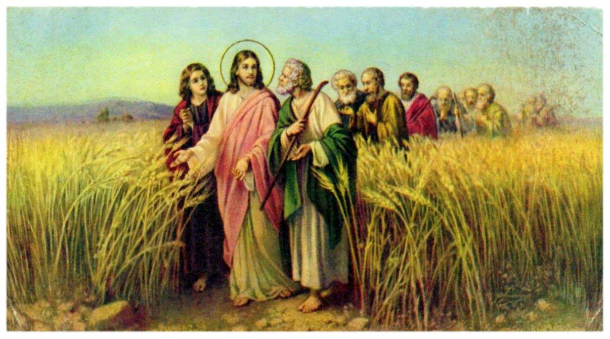 CÁC BÀI SUY NIỆM LỜI CHÚA  CHÚA NHẬT XIV THƯỜNG NIÊN NĂM C