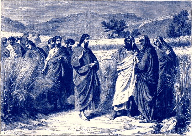 15.7.2016 – Thứ sáu Tuần 15 Thường niên