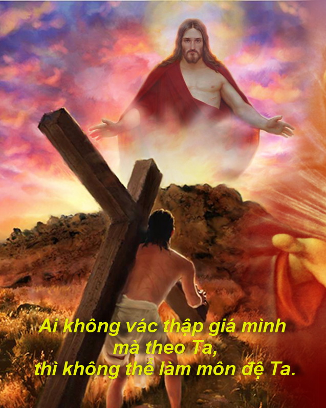 CÁC BÀI SUY NIỆM LỜI CHÚA  CHÚA NHẬT XXIII THƯỜNG NIÊN - NĂM C