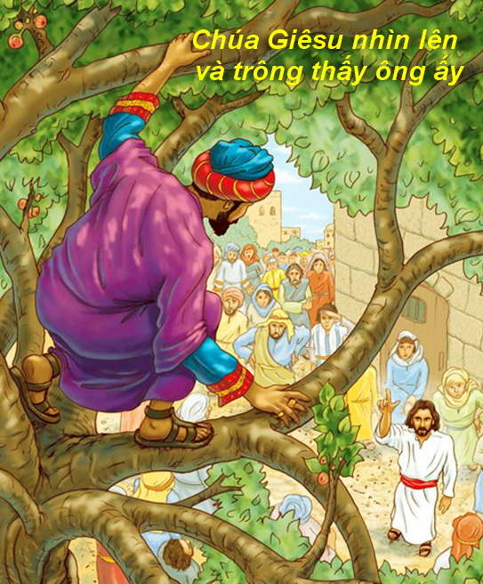 Cầu nguyện trước Thánh Thể: Ngày 30.10.2016 – Chúa nhật XXXI Thường niên (Lc 19, 01-10)