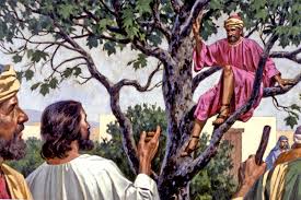 CÁC BÀI SUY NIỆM LỜI CHÚA CHÚA NHẬT XXXI THƯỜNG NIÊN - NĂM C