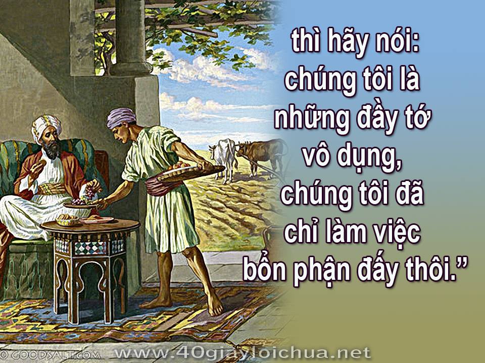 8.11.2016 – Thứ ba Tuần 32 Thường niên