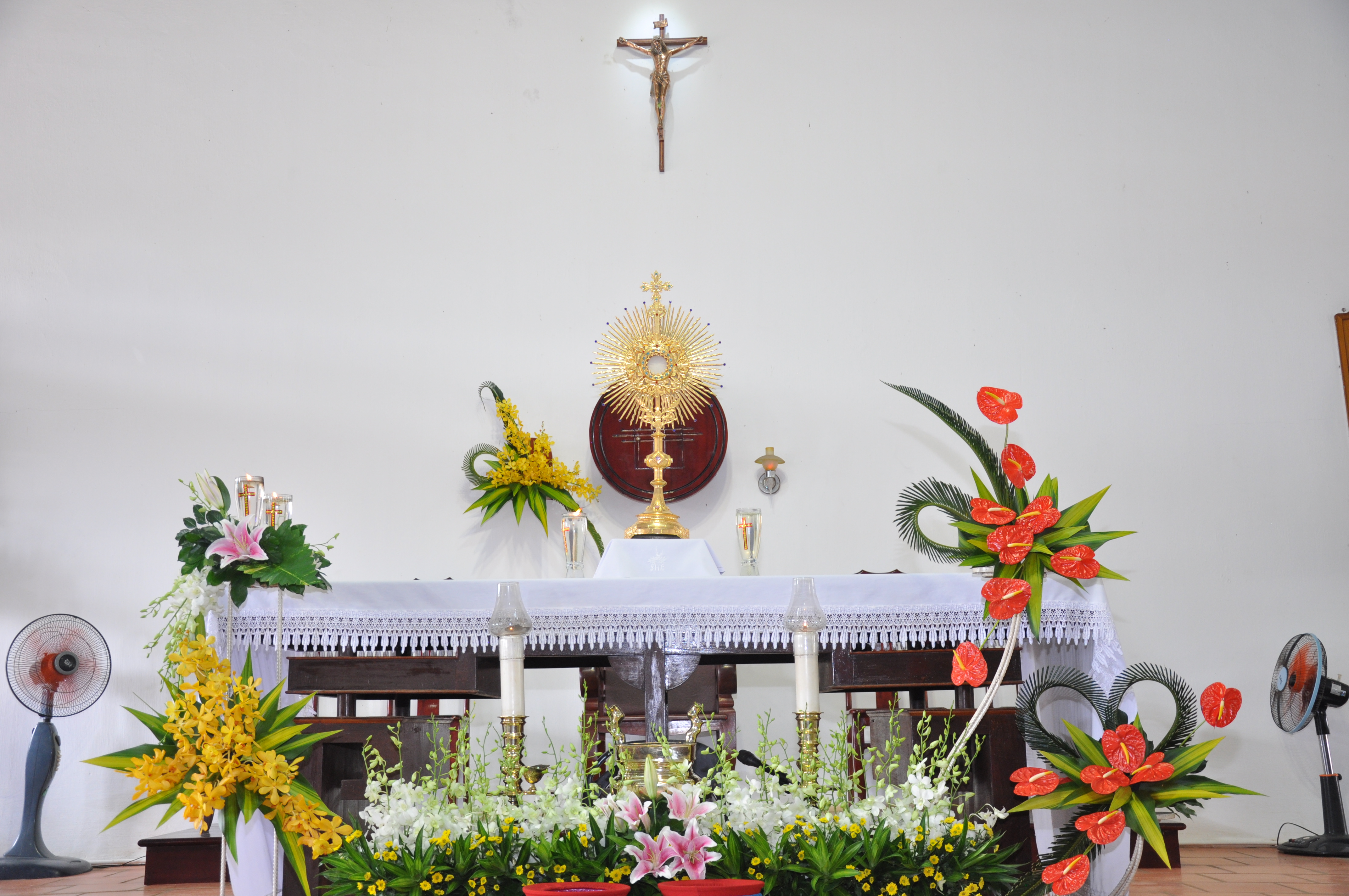 Giáo xứ Hòa Sơn: Mừng lễ Chúa Kitô Vua - Bổn mạng Giáo xứ và Chầu Thánh Thể thay Giáo phận