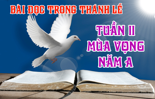 BẢN VĂN CÁC BÀI ĐỌC HẰNG NGÀY - TUẦN II MÙA VỌNG NĂM A