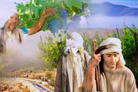 13.12.2016 – Thứ ba Tuần 3 Mùa Vọng