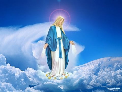 Ngày 08-12  ĐỨC MARIA VÔ NHIỄM NGUYÊN TỘI