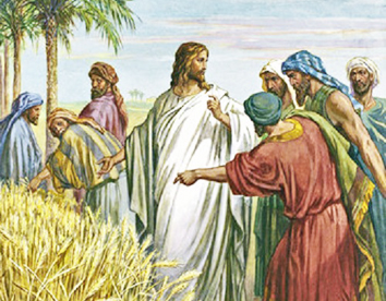 17.1.2017 – Thứ ba Tuần 2 Thường niên