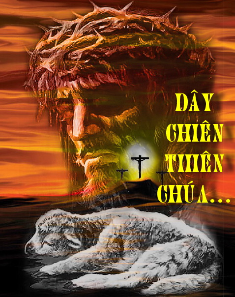 CÁC BÀI SUY NIỆM LỜI CHÚA CHÚA NHẬT II THƯỜNG NIÊN – NĂM A