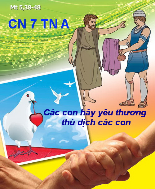 CÁC BÀI SUY NIỆM LỜI CHÚA  CHÚA NHẬT VII THƯỜNG NIÊN – NĂM A