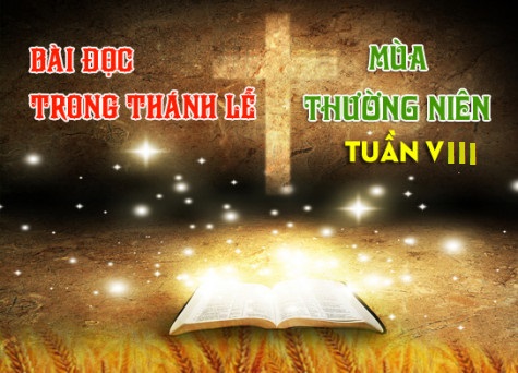 BẢN VĂN CÁC BÀI ĐỌC HẰNG NGÀY - TUẦN VIII THƯỜNG NIÊN NĂM A