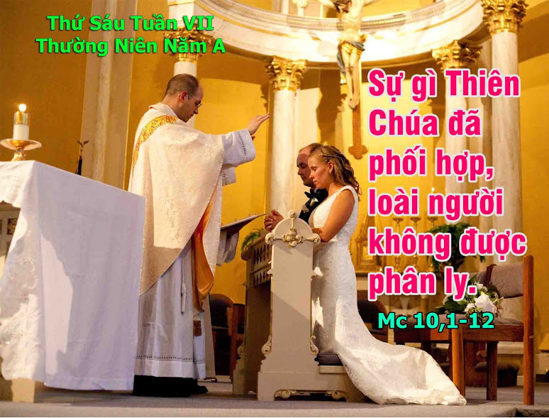 24.2.2017 – Thứ sáu Tuần 7 Thường niên