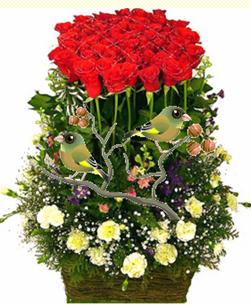 Niềm Vui Tín Thác