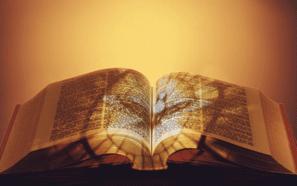 Luật Thiện Hảo