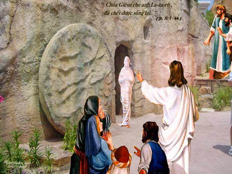 CÁC BÀI SUY NIỆM LỜI CHÚA  CHÚA NHẬT V MÙA CHAY – NĂM A