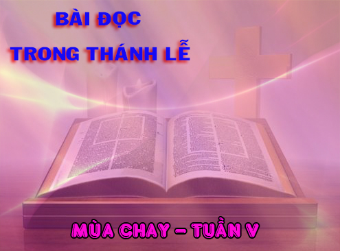 BẢN VĂN CÁC BÀI ĐỌC HẰNG NGÀY TUẦN V MÙA CHAY