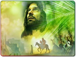 Hành Trình Yêu Thương