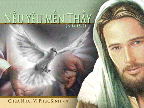 CÁC BÀI SUY NIỆM LỜI CHÚA  CHÚA NHẬT VI PHỤC SINH – NĂM A