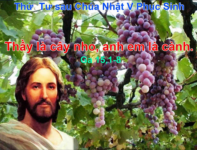 17.05.2017 - Thứ Tư Tuần V Mùa Phục Sinh