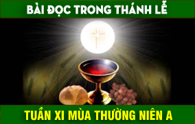 BẢN VĂN BÀI ĐỌC TUẦN XI THƯỜNG NIÊN NĂM A  NĂM PHỤNG VỤ 2016 – 2017
