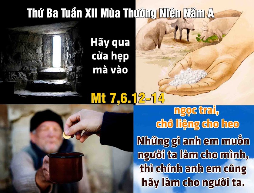 27.6.2017 – Thứ ba Tuần 12 Thường niên