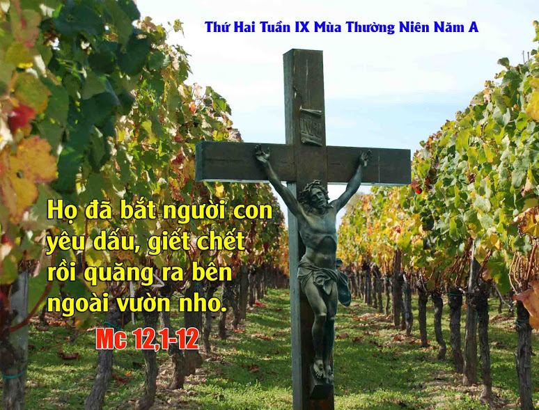 5.6.2017 – Thứ hai Tuần 9 Thuờng niên