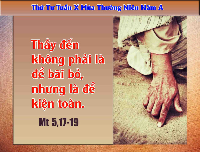 14.6.2017 – Thứ tư Tuần 10 Thuờng niên