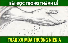 BẢN VĂN BÀI ĐỌC TUẦN XV THƯỜNG NIÊN NĂM A - NĂM PHỤNG VỤ 2016 – 2017