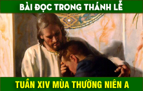 BẢN VĂN BÀI ĐỌC TUẦN XIV THƯỜNG NIÊN NĂM A – NĂM PHỤNG VỤ 2016 – 2017