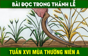 BẢN VĂN BÀI ĐỌC TUẦN XVI THƯỜNG NIÊN NĂM A - NĂM PHỤNG VỤ 2016 – 2017