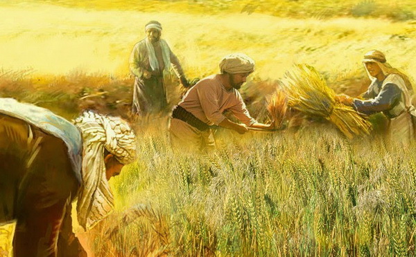 26.7.2017 – Thứ Tư tuần 16 Thường niên