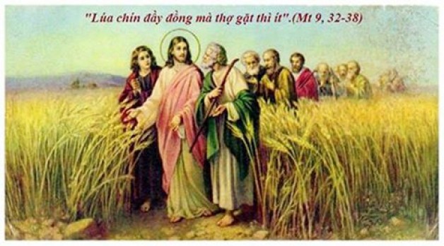 11.7.2017 – Thứ Ba tuần 14 Thường niên